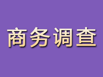 沛县商务调查